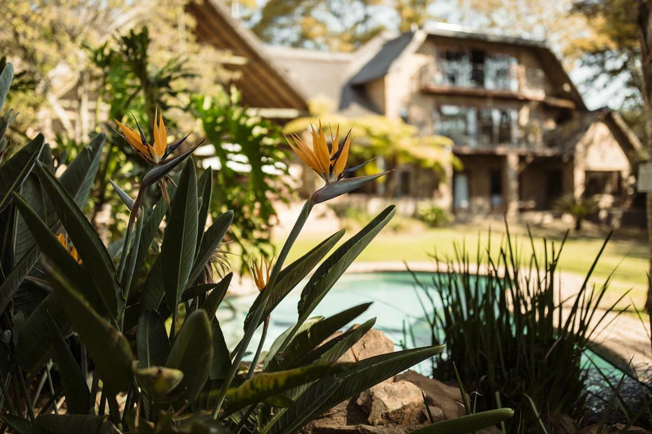 50 On Shepherd Boutique Guest House Sandton Ngoại thất bức ảnh